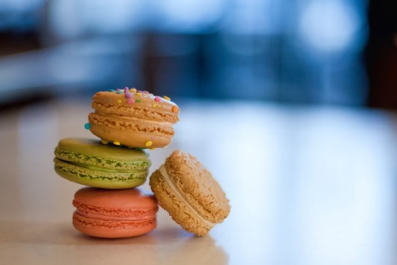 IMAGE: http://i18.photobucket.com/albums/b126/bitteraspects/IMG_3823.jpg