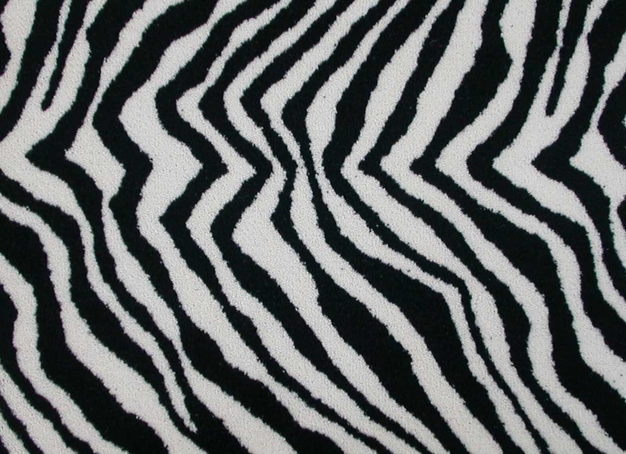 background images zebra