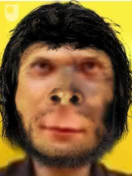 Yo como Homo Erectus