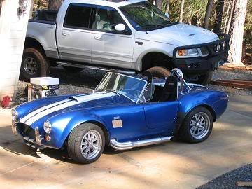 cobra2.jpg