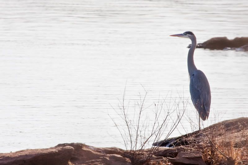 IMAGE: http://i18.photobucket.com/albums/b128/bikr883/IMG_0682.jpg