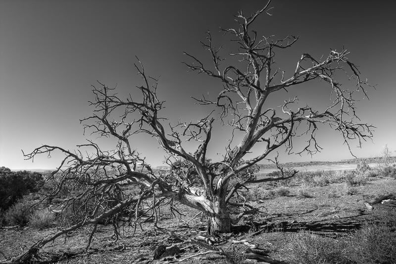 IMAGE: http://i18.photobucket.com/albums/b128/bikr883/IMG_4496_7_8_tonemapped.jpg