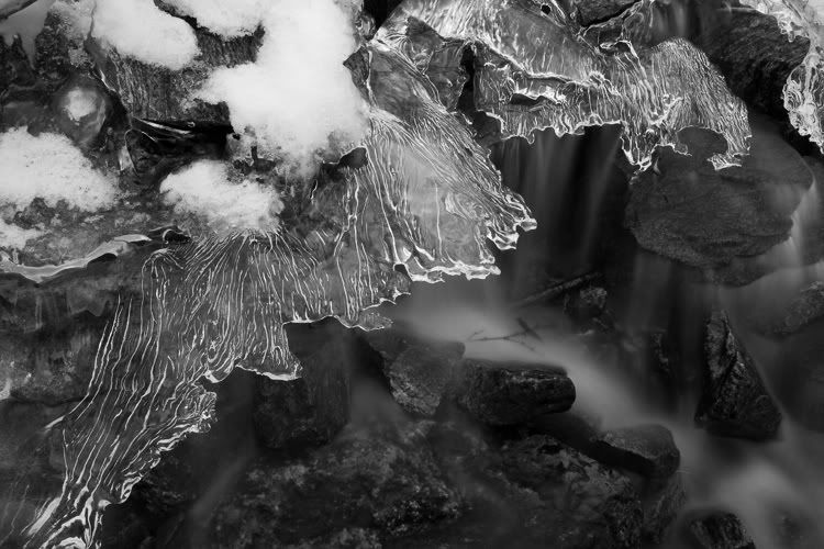 IMAGE: http://i18.photobucket.com/albums/b128/bikr883/IMG_5102.jpg