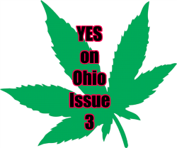 created image for Issue 3 in Ohio 2015