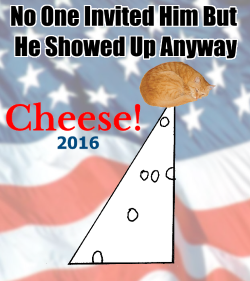 poster for Swiss Cheese campaign