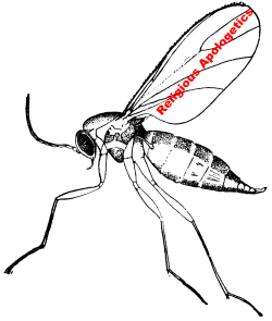 The Gnat of Religious Apologetics created image The Gnat of Religious Apologetics