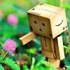 : | Danbo Icons for MSN |,