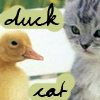 catamndducks.png