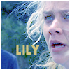 lily.png