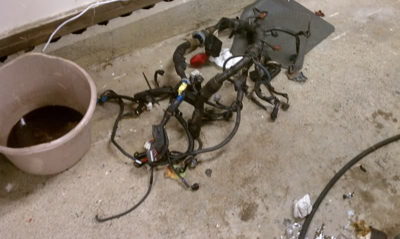 So I need a new motor - Page 3 - Toyota RAV4 Forums