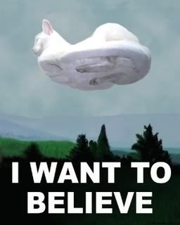 i+want+to+believe+cat Pictures, Images and Photos