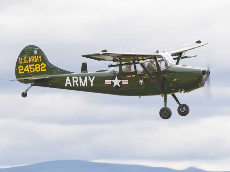 IMAGE: http://i18.photobucket.com/albums/b130/malla1962/8R3Y0808.jpg