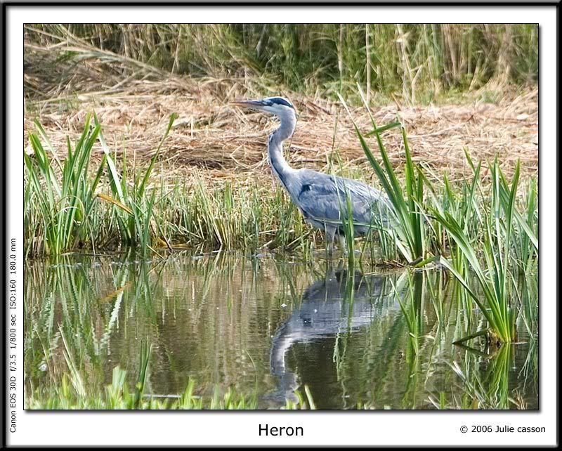 IMAGE: http://i18.photobucket.com/albums/b130/malla1962/IMG_0752.jpg