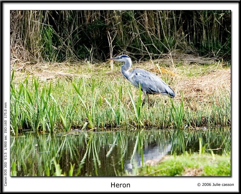 IMAGE: http://i18.photobucket.com/albums/b130/malla1962/IMG_0753.jpg