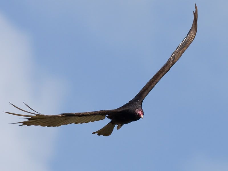 IMAGE: http://i18.photobucket.com/albums/b130/malla1962/IMG_5159.jpg