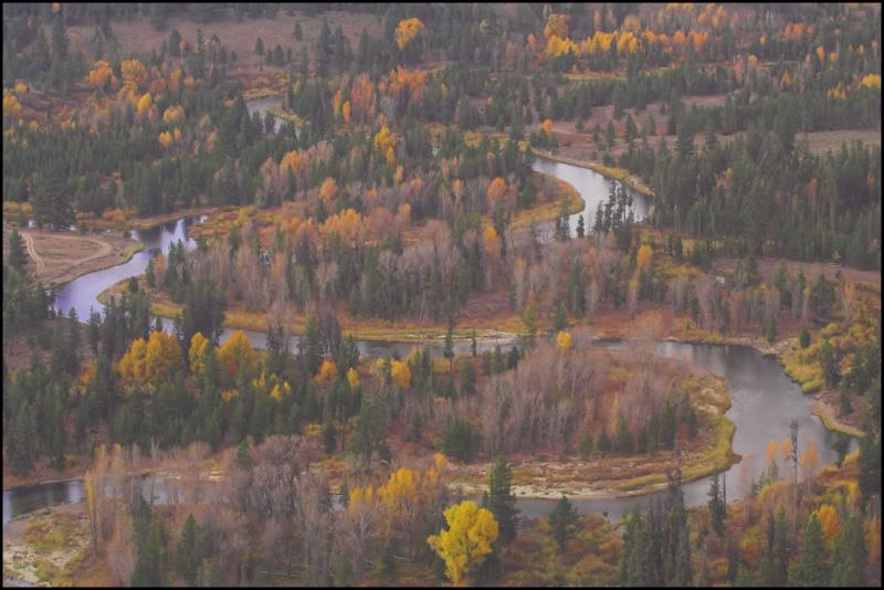 IMAGE: http://i18.photobucket.com/albums/b130/saravrose/CopyofIMG_3964-01.jpg