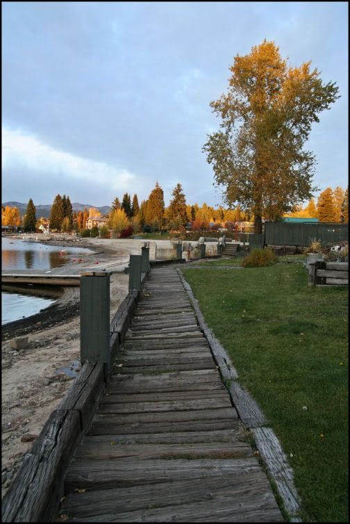 IMAGE: http://i18.photobucket.com/albums/b130/saravrose/CopyofIMG_4304.jpg