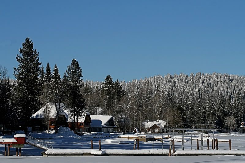 IMAGE: http://i18.photobucket.com/albums/b130/saravrose/CopyofIMG_6705.jpg