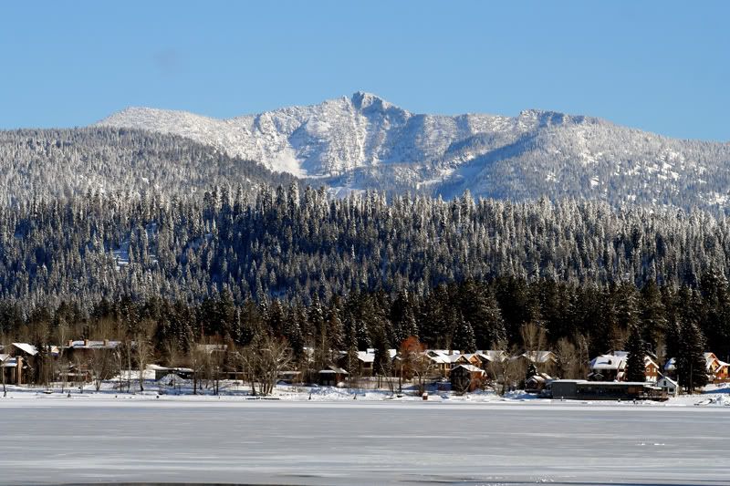 IMAGE: http://i18.photobucket.com/albums/b130/saravrose/CopyofIMG_6710.jpg