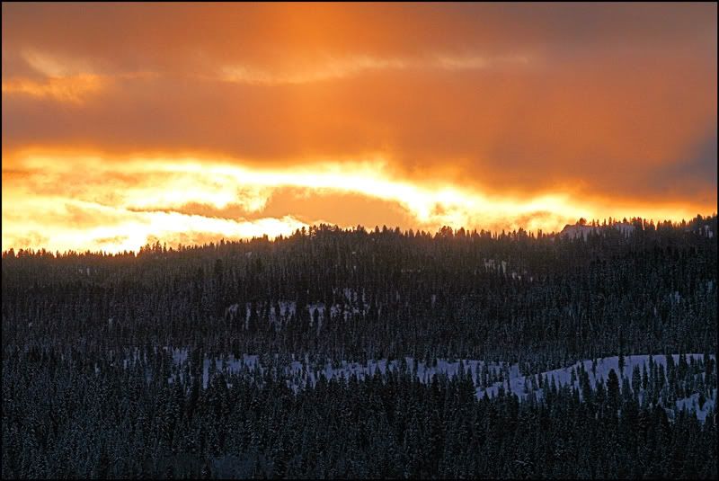 IMAGE: http://i18.photobucket.com/albums/b130/saravrose/CopyofIMG_6781.jpg