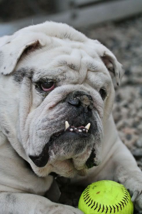 IMAGE: http://i18.photobucket.com/albums/b130/saravrose/IMG_3193.jpg