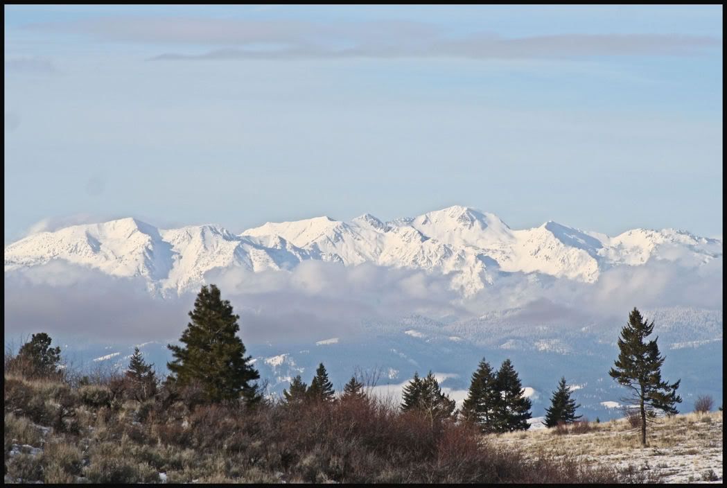 IMAGE: http://i18.photobucket.com/albums/b130/saravrose/IMG_4366.jpg