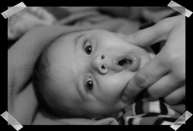 IMAGE: http://i18.photobucket.com/albums/b130/saravrose/IMG_5046.jpg