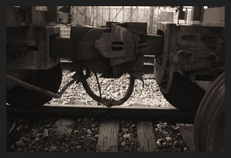 IMAGE: http://i18.photobucket.com/albums/b130/saravrose/IMG_5409.jpg