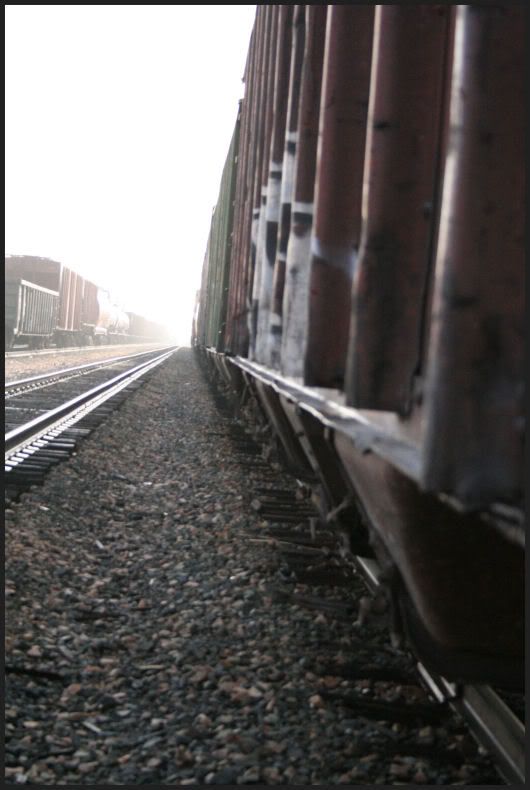 IMAGE: http://i18.photobucket.com/albums/b130/saravrose/IMG_5411.jpg