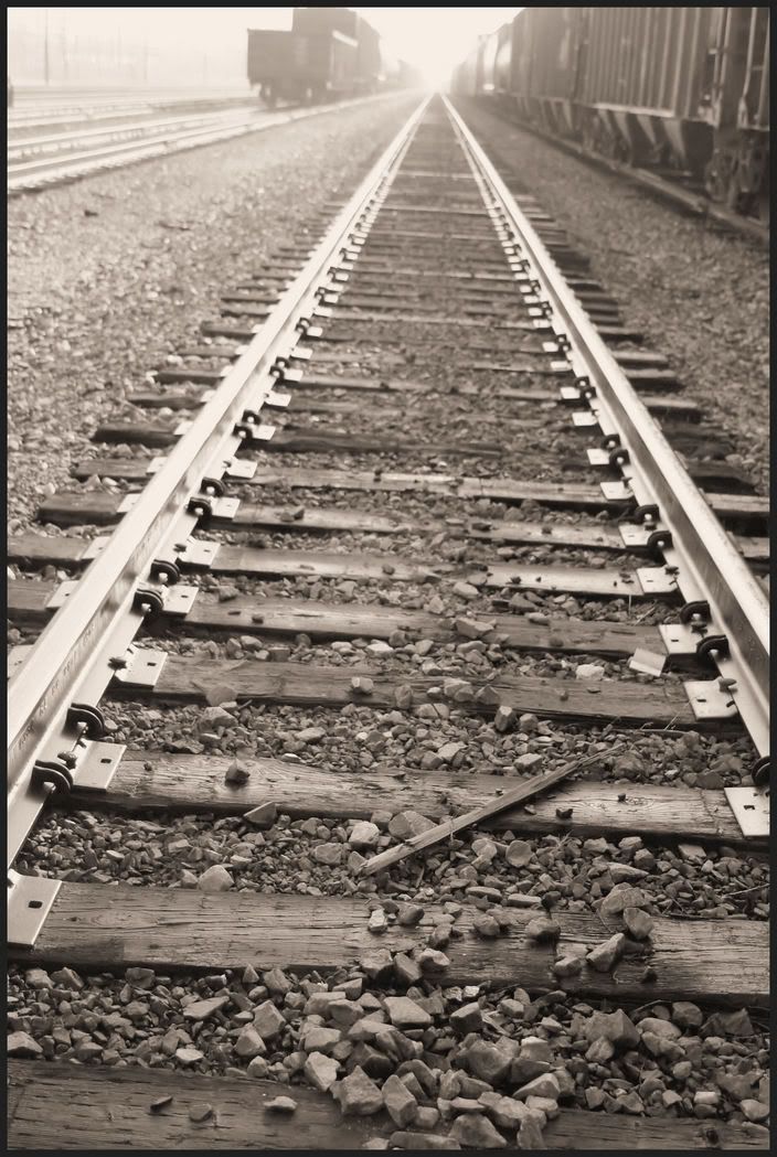 IMAGE: http://i18.photobucket.com/albums/b130/saravrose/IMG_5413.jpg