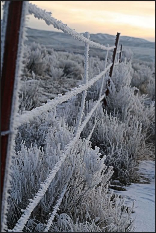 IMAGE: http://i18.photobucket.com/albums/b130/saravrose/IMG_5465.jpg