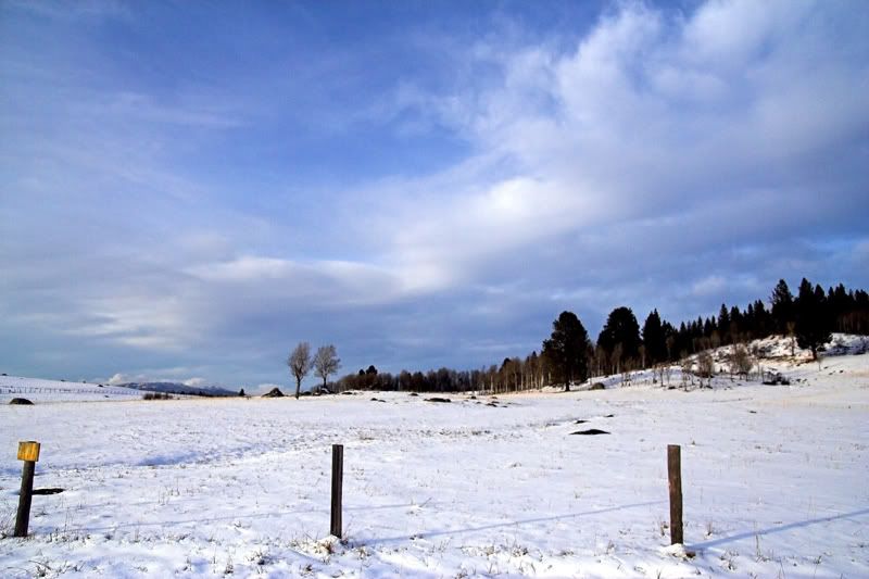 IMAGE: http://i18.photobucket.com/albums/b130/saravrose/IMG_5519-01.jpg