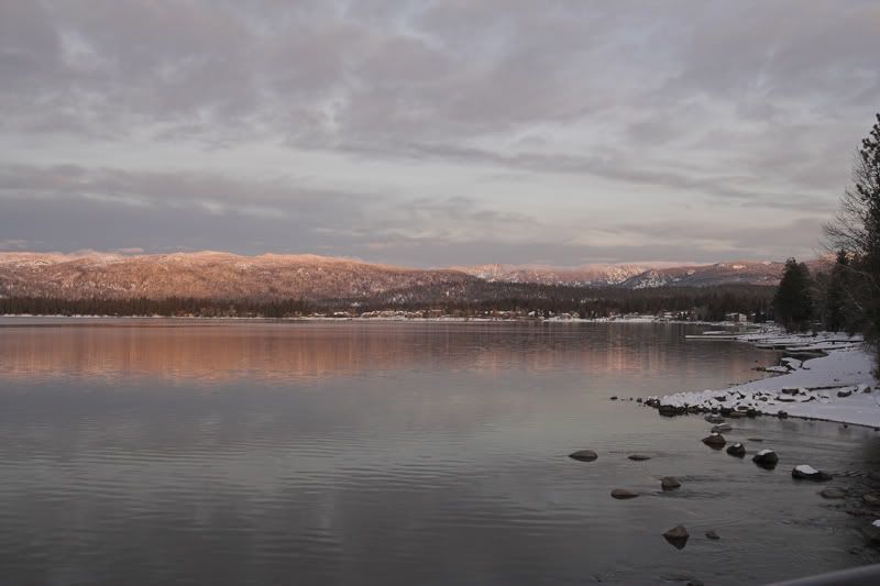 IMAGE: http://i18.photobucket.com/albums/b130/saravrose/IMG_5585-01.jpg