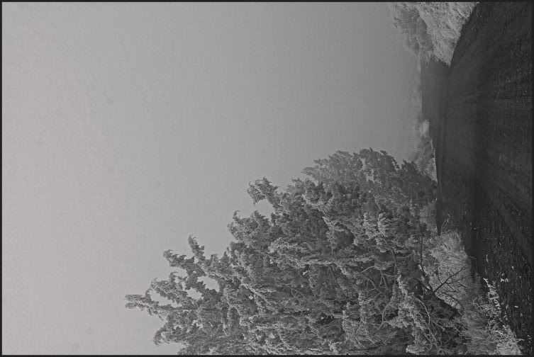 IMAGE: http://i18.photobucket.com/albums/b130/saravrose/IMG_5633.jpg