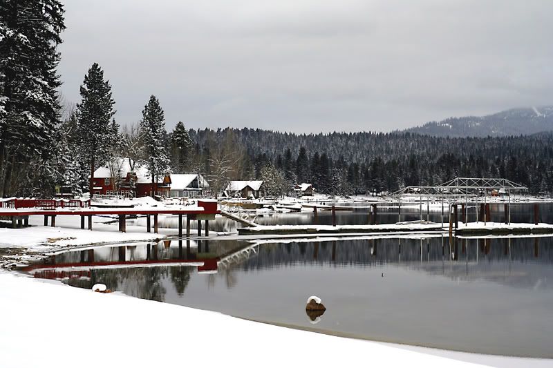 IMAGE: http://i18.photobucket.com/albums/b130/saravrose/IMG_5946.jpg