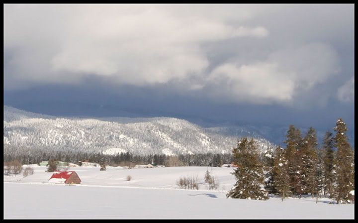 IMAGE: http://i18.photobucket.com/albums/b130/saravrose/IMG_6031.jpg