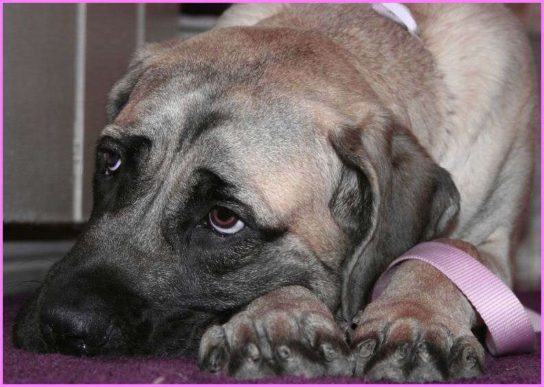 IMAGE: http://i18.photobucket.com/albums/b130/saravrose/IMG_8375.jpg