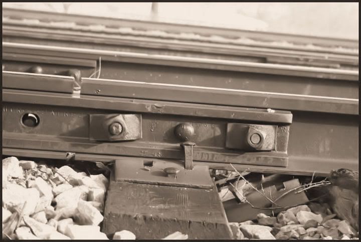 IMAGE: http://i18.photobucket.com/albums/b130/saravrose/landscapes/IMG_5421.jpg