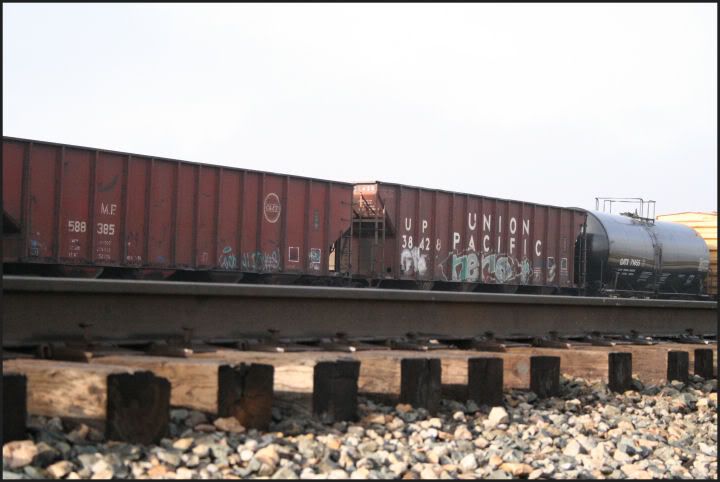 IMAGE: http://i18.photobucket.com/albums/b130/saravrose/landscapes/IMG_5431.jpg