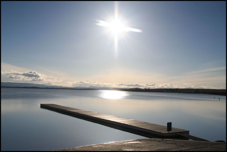 IMAGE: http://i18.photobucket.com/albums/b130/saravrose/potnpost.jpg