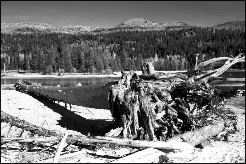 IMAGE: http://i18.photobucket.com/albums/b130/saravrose/the%20challenge/CopyofCopyofIMG_4965-01.jpg