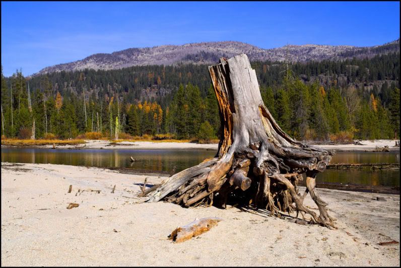 IMAGE: http://i18.photobucket.com/albums/b130/saravrose/the%20challenge/CopyofIMG_4971-01.jpg