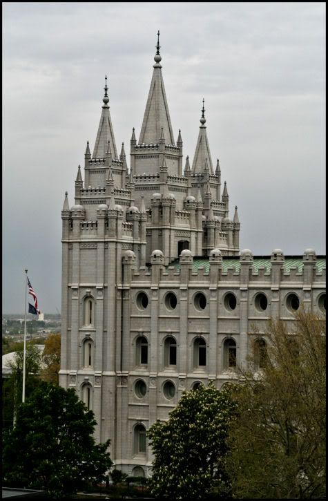 IMAGE: http://i18.photobucket.com/albums/b130/saravrose/the%20challenge/IMG_3618.jpg