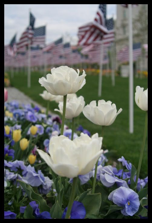 IMAGE: http://i18.photobucket.com/albums/b130/saravrose/the%20challenge/IMG_3711.jpg