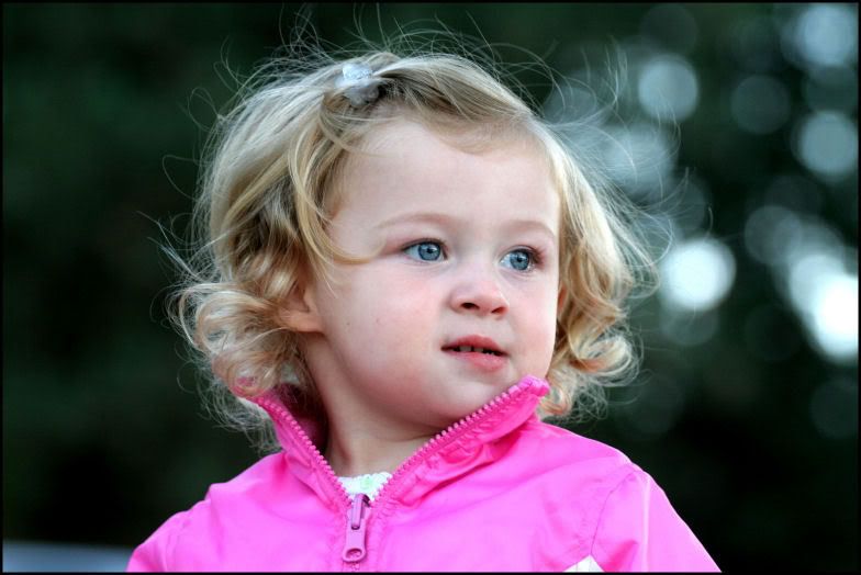 IMAGE: http://i18.photobucket.com/albums/b130/saravrose/the%20challenge/IMG_3805.jpg