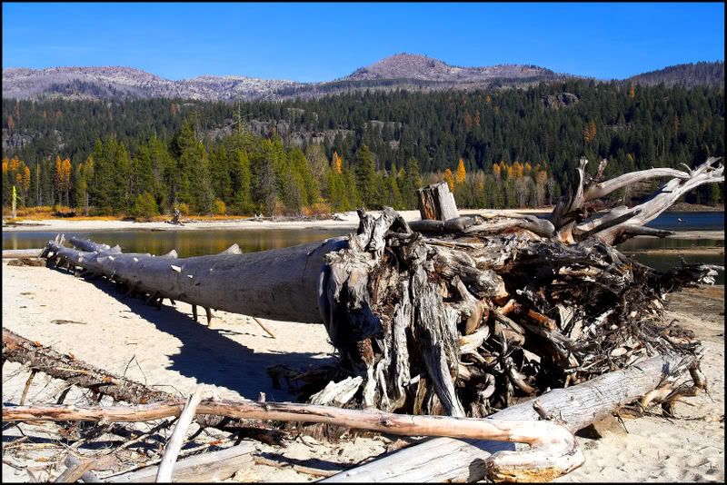 IMAGE: http://i18.photobucket.com/albums/b130/saravrose/the%20challenge/IMG_4965-01.jpg