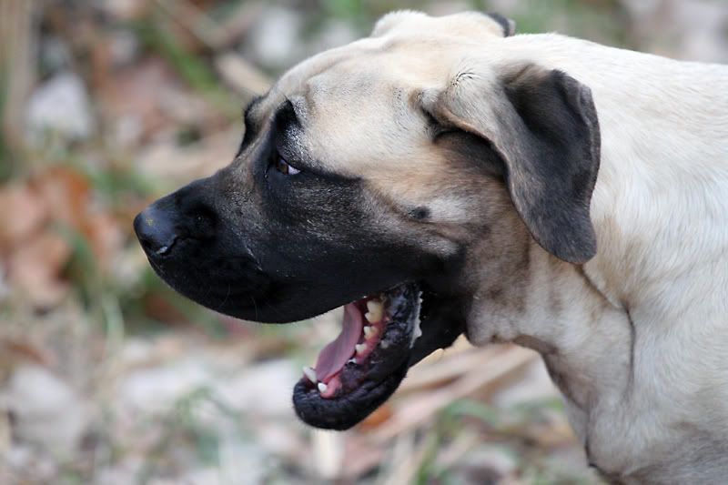 IMAGE: http://i18.photobucket.com/albums/b130/saravrose/the%20challenge/IMG_5858.jpg