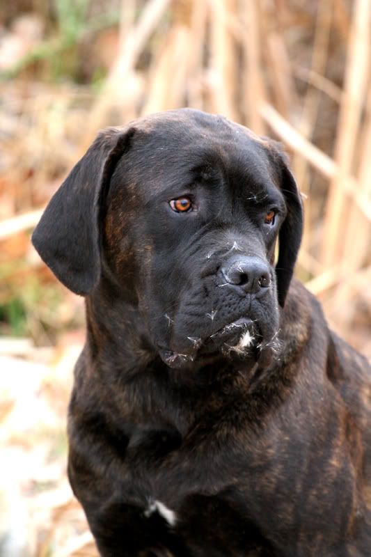 IMAGE: http://i18.photobucket.com/albums/b130/saravrose/the%20challenge/IMG_5869.jpg