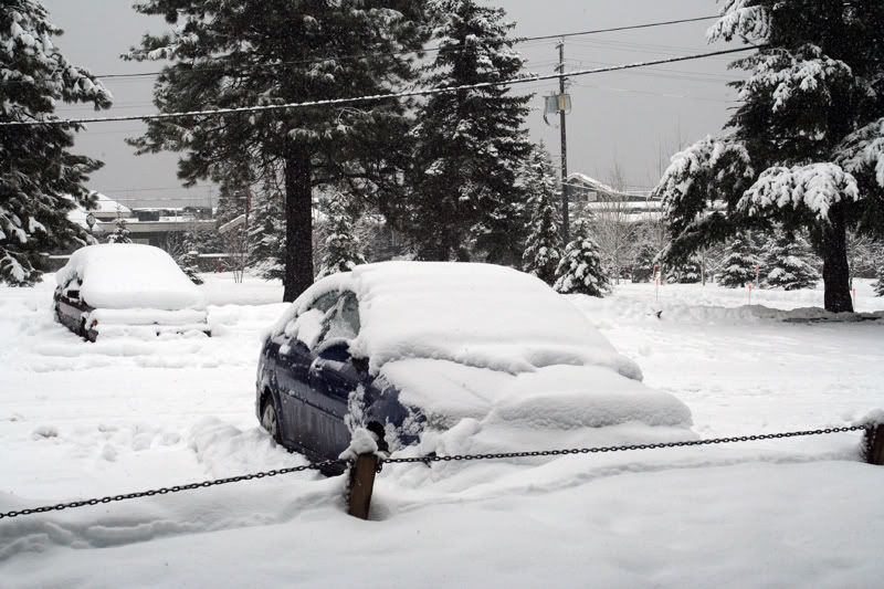 IMAGE: http://i18.photobucket.com/albums/b130/saravrose/the%20challenge/IMG_6276.jpg