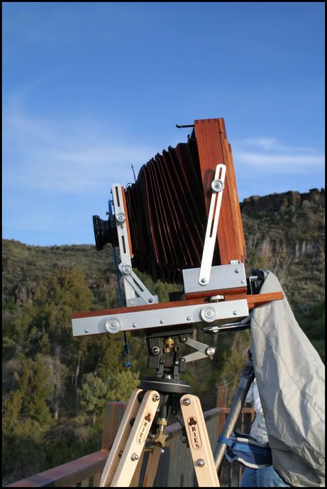 IMAGE: http://i18.photobucket.com/albums/b130/saravrose/the%20challenge/potnimage4.jpg